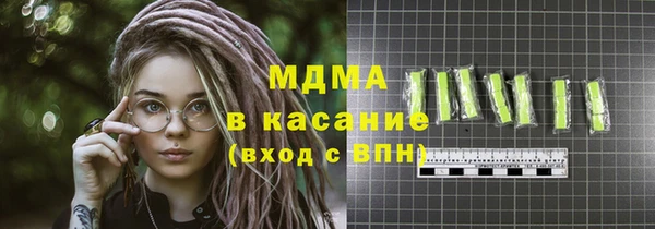 индика Инта