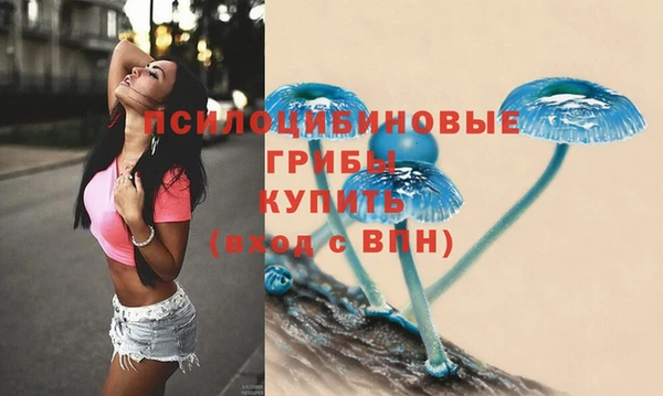 прущая мука Кодинск